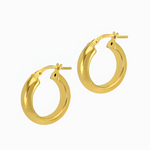 Curved Gold Hoop Earrings