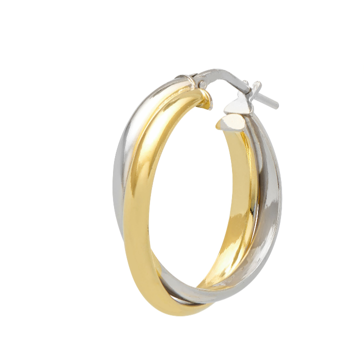 Gold_Silver_Small_Luxury_Hoos