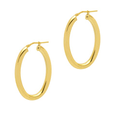 Shiny Oval Hoop Earrings -