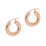 Luxury, Shiny Hoop Earrings