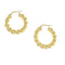 Gold Hoops