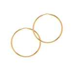 Chica Latina Collection - Gold - THE HOOP STATION