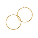 Chica Latina Collection - Gold - THE HOOP STATION