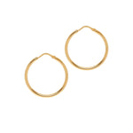 Chica Latina Collection - Gold - THE HOOP STATION