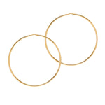 Chica Latina Collection - Gold - THE HOOP STATION