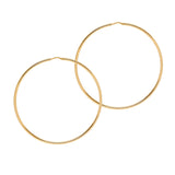 Chica Latina Collection - Gold - THE HOOP STATION