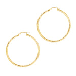 Hoop Earrings