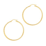 Hoop Earrings