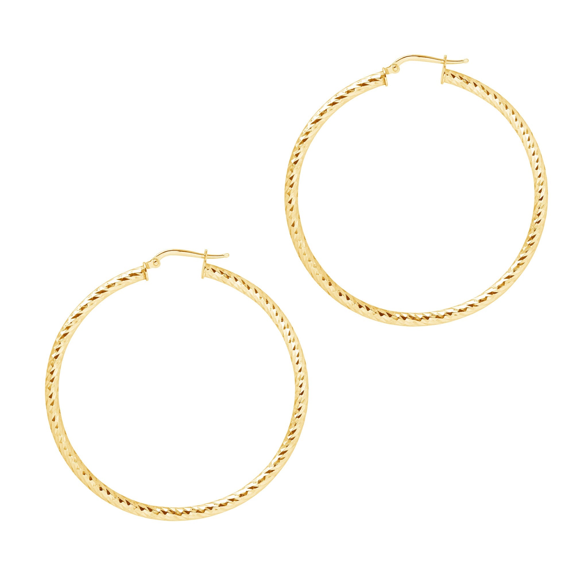 Hoop Earrings