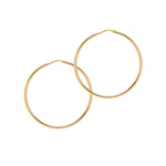 Chica Latina Collection - Gold - THE HOOP STATION