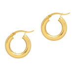 Small Chunky Hoops