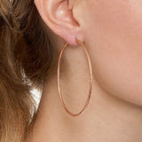 Roma Collection: XL & XXL - Rose Gold - THE HOOP STATION