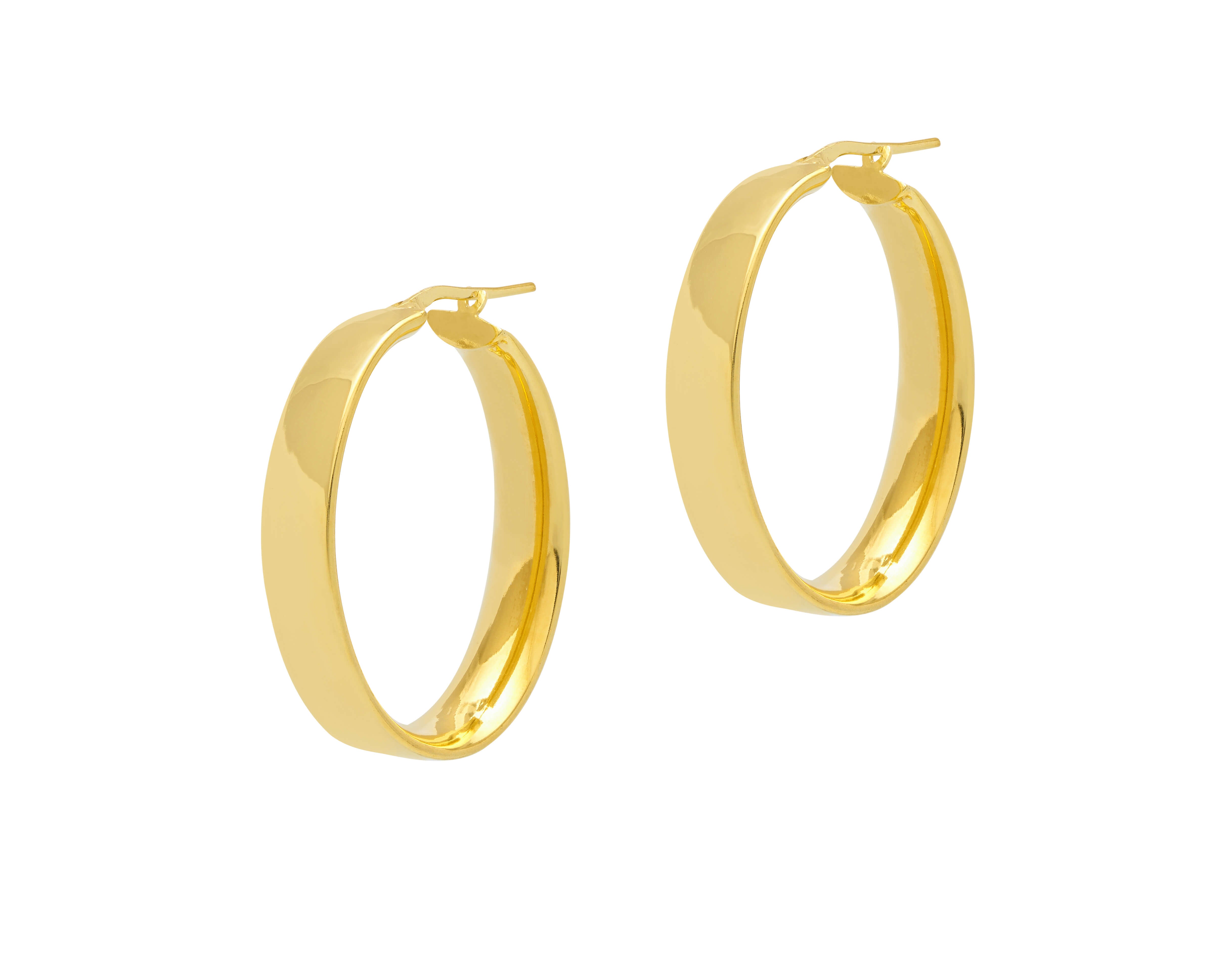 Oval Hoop Earrings