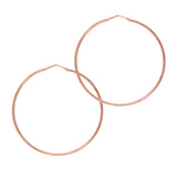Roma Collection: XL & XXL - Rose Gold - THE HOOP STATION